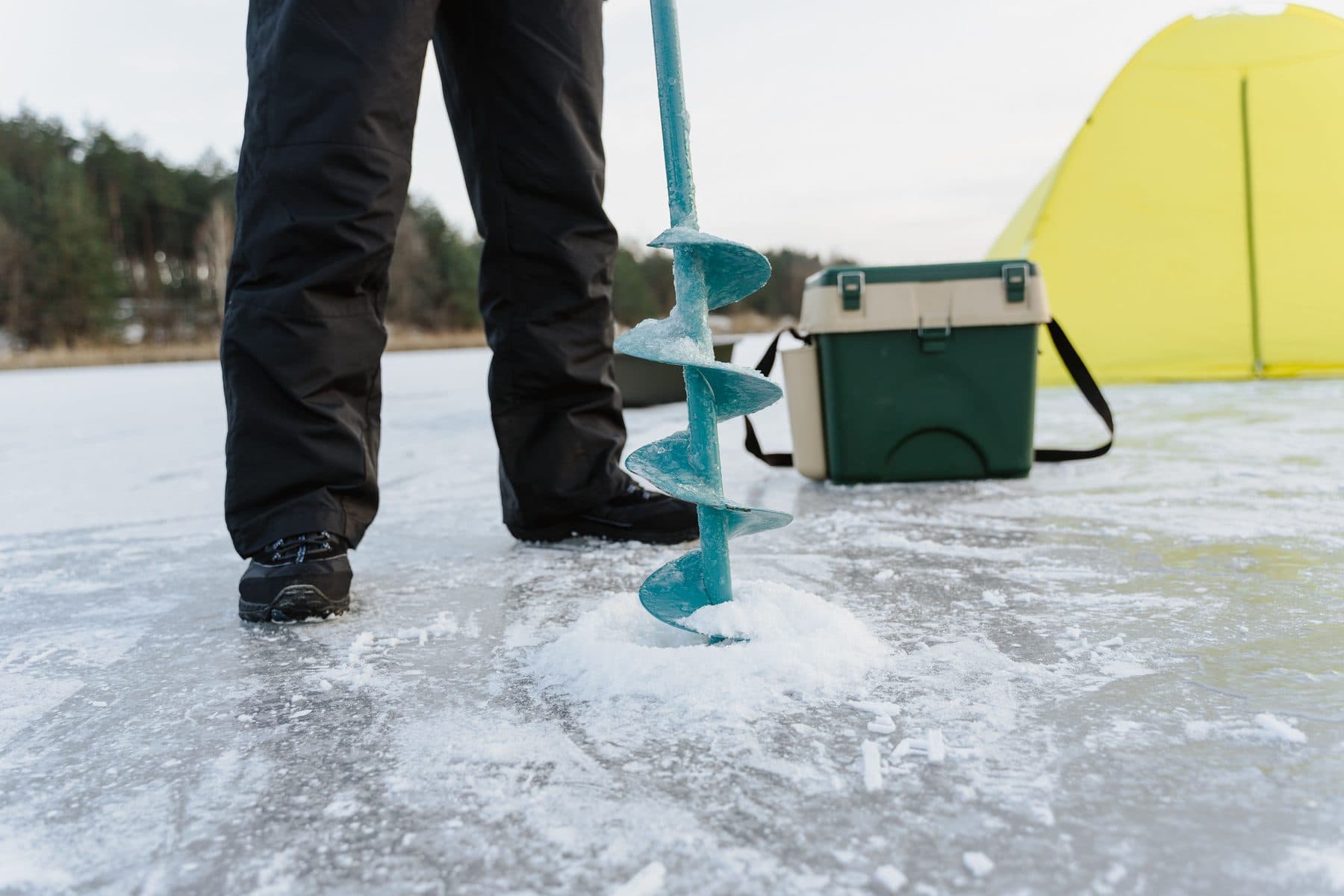 An ice fisherman drills a hole through a frozen lake with pine forest behind